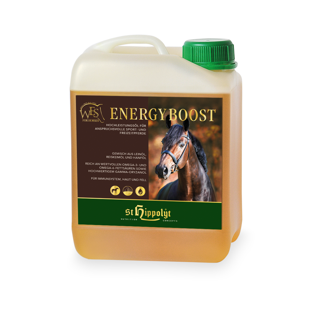 WES Energy Boost