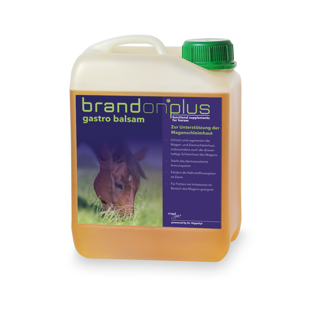 Brandon® plus gastro balsam