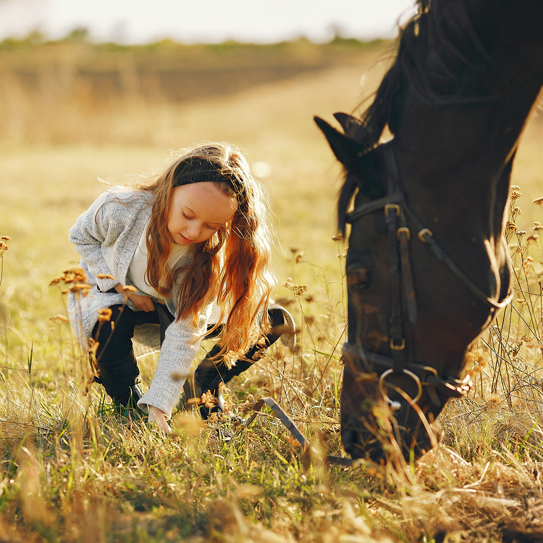 cute-little-girl-autumn-field-with-horse Kopie_018dc1e3ed20748abbe2c654552e92be