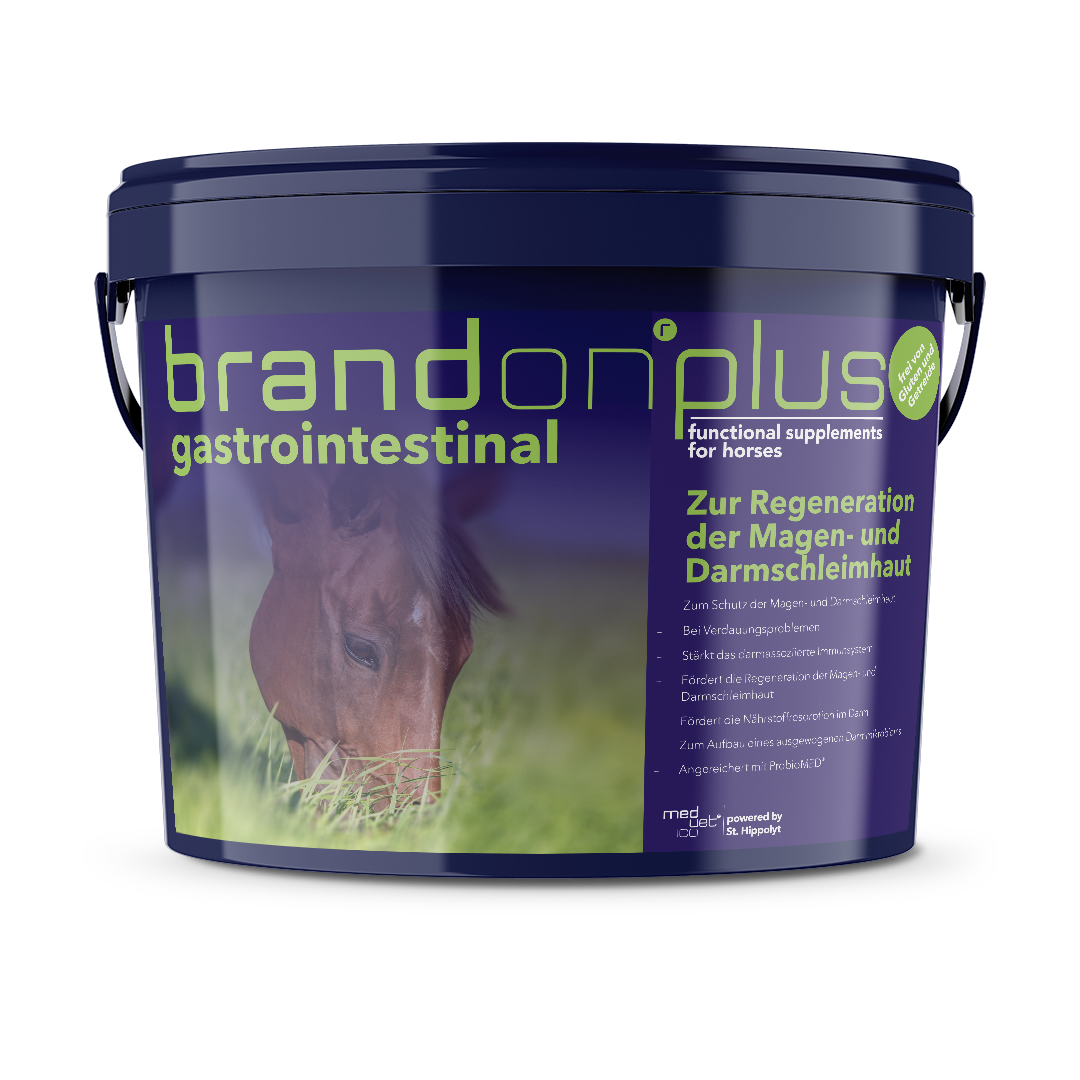 Brandon® plus gastrointestinal