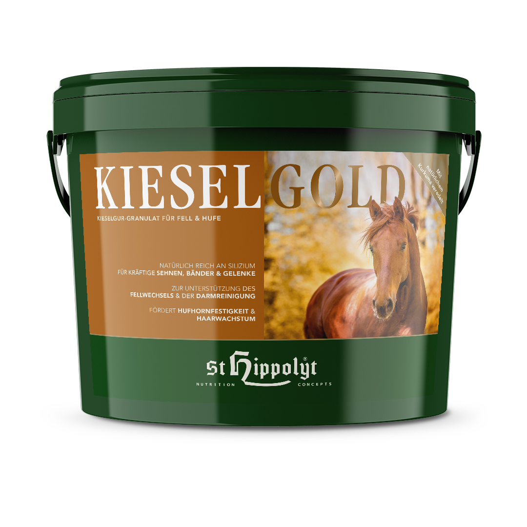 Kieselgold