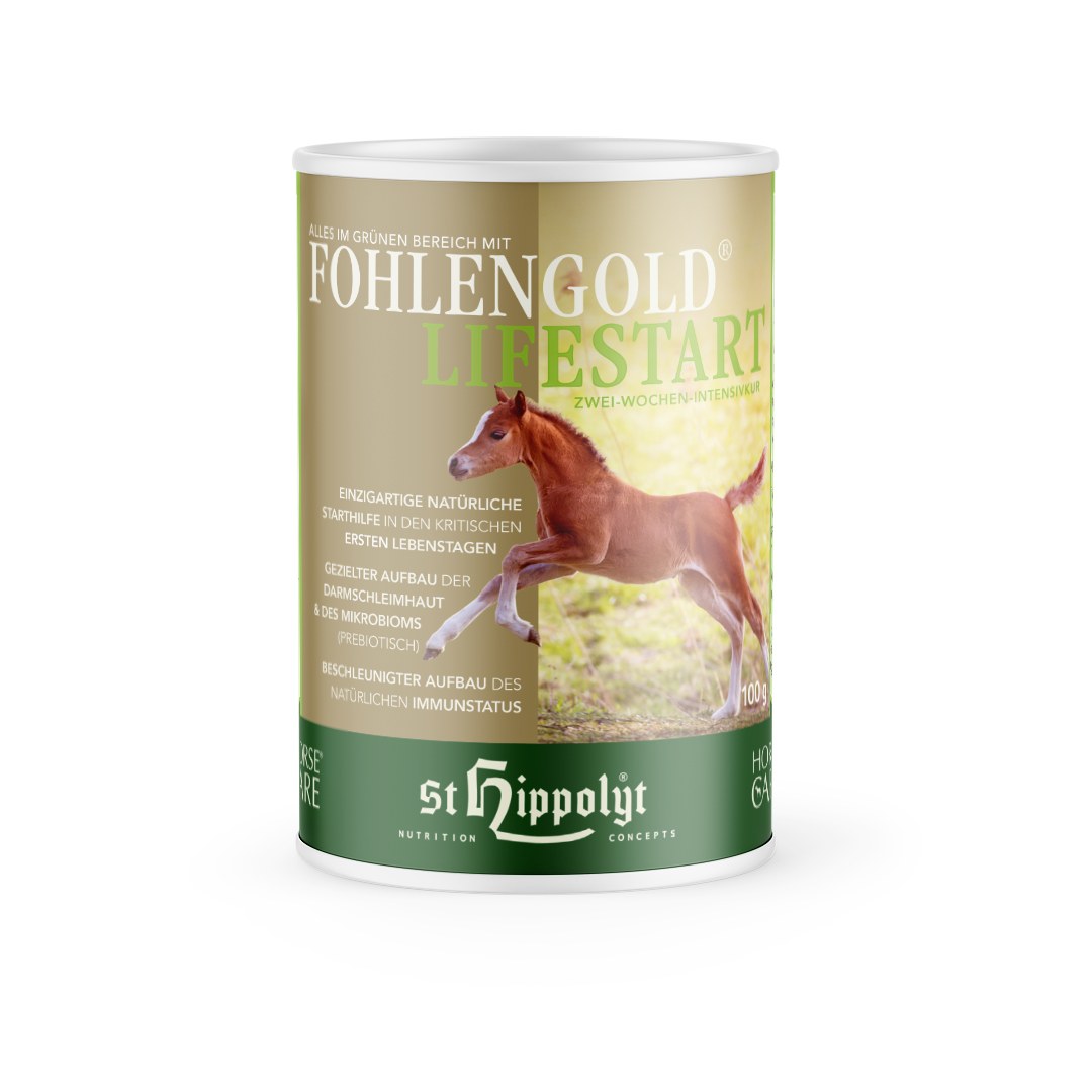 Fohlengold® Lifestart