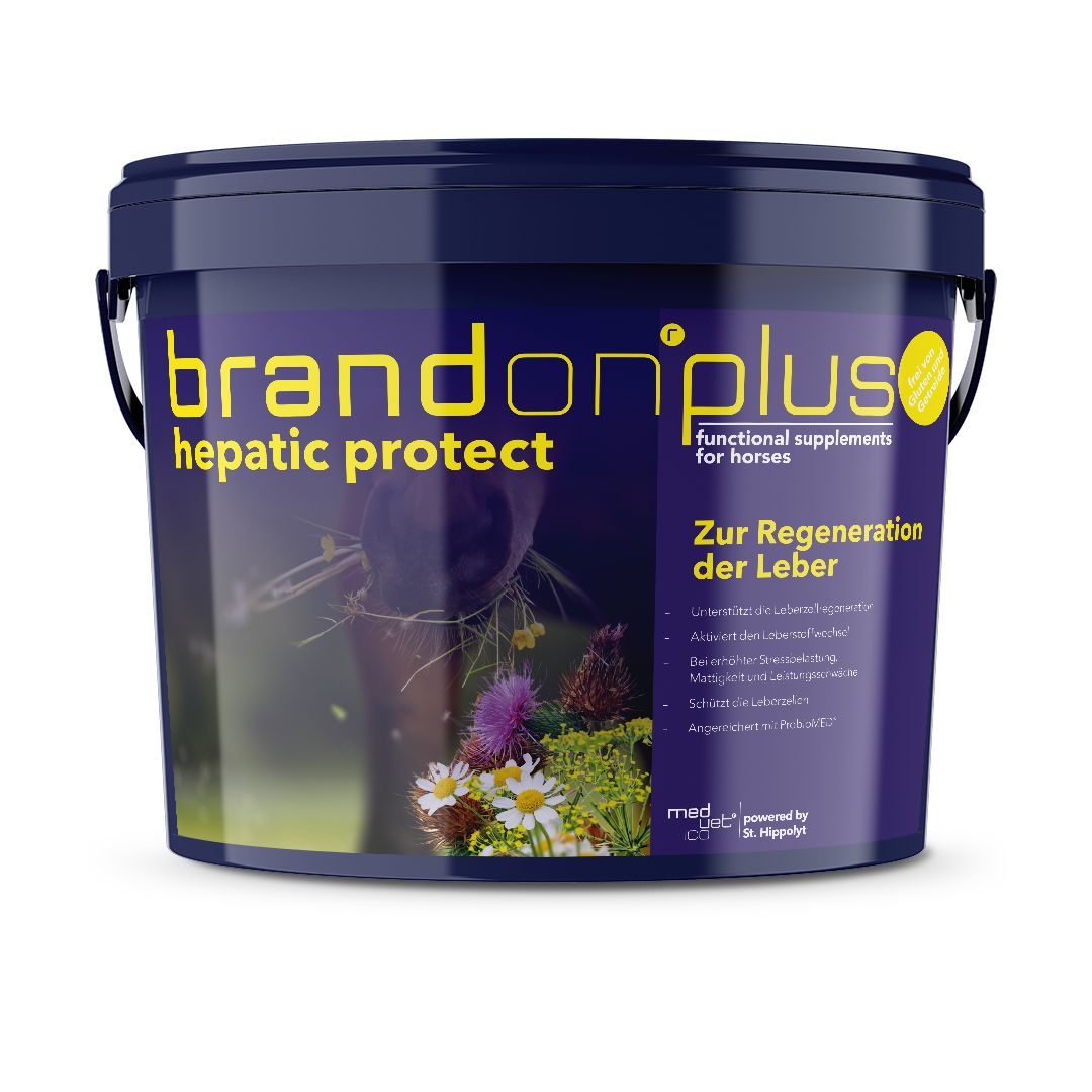 Brandon® plus hepatic protect