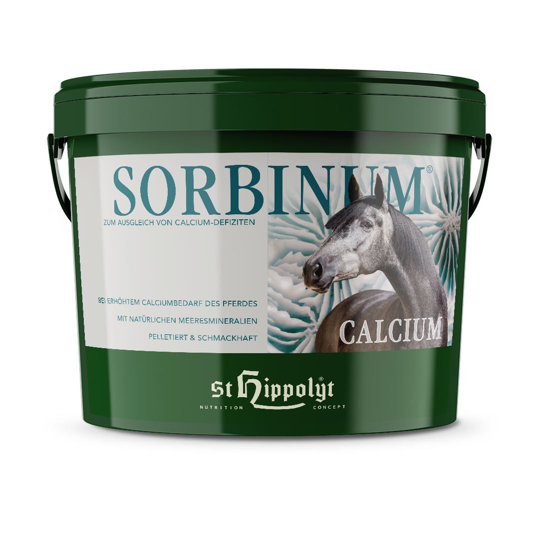 Sorbinum® Calcium